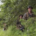 Jungle patrol tests ROK, US Marine tactics