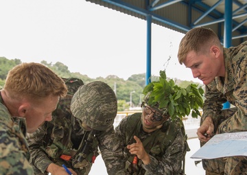 Jungle patrol tests ROK, US Marine tactics