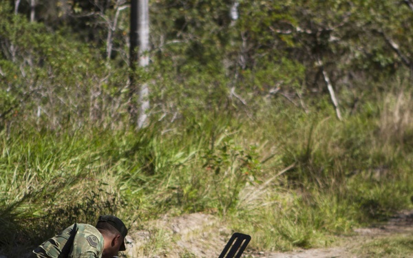 A soldier in camouflage uniform is kneeling on a dirt path at the edge of vegetation, using a metal detector to sweep the ground. The setting appears to be a rural or jungle-adjacent area with dense green foliage in the background. This activity is consistent with mine detection or explosive ordnance disposal (EOD) operations.
