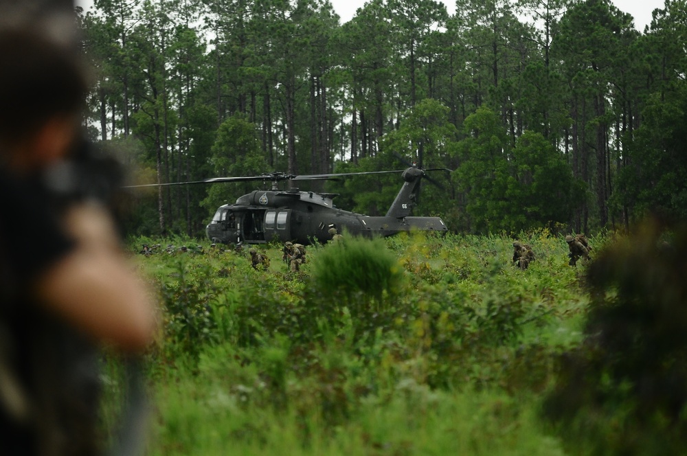 Falcon FTX culminates with US/UK air assault mission