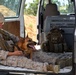 Dog teams use training as opportunity to build rapport