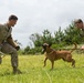 Dog teams use training as opportunity to build rapport