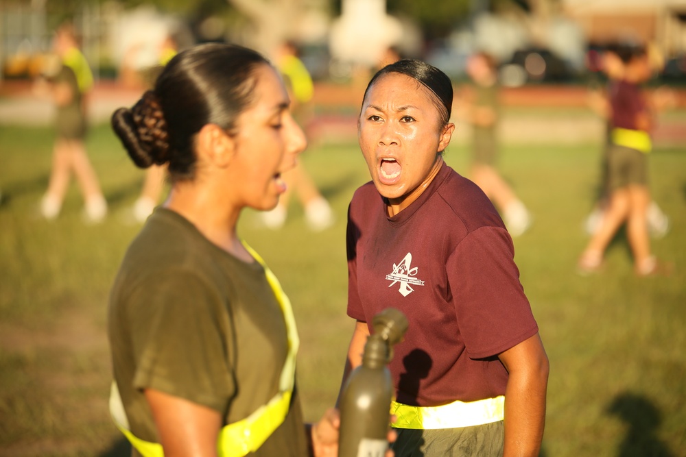 Photo Gallery: Marine recruits train for physical excellence on Parris Island