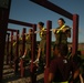 Photo Gallery: Marine recruits train for physical excellence on Parris Island