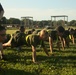 Photo Gallery: Marine recruits train for physical excellence on Parris Island