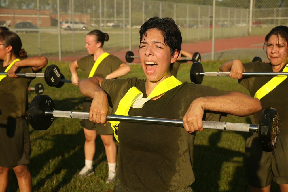 Photo Gallery: Marine recruits train for physical excellence on Parris Island