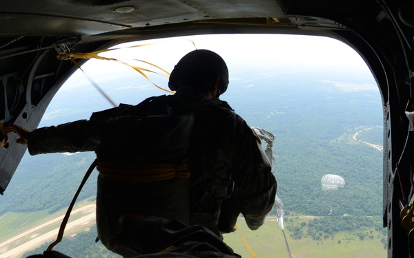 The image shows a military static-line parachute operation viewed from inside the rear cargo ramp of a military transport aircraft. One soldier is in the process of exiting the aircraft while another stands at the edge observing, with static lines visible connecting jumpers to the aircraft. Multiple deployed parachutes are visible in the background over a forested and open terrain below.