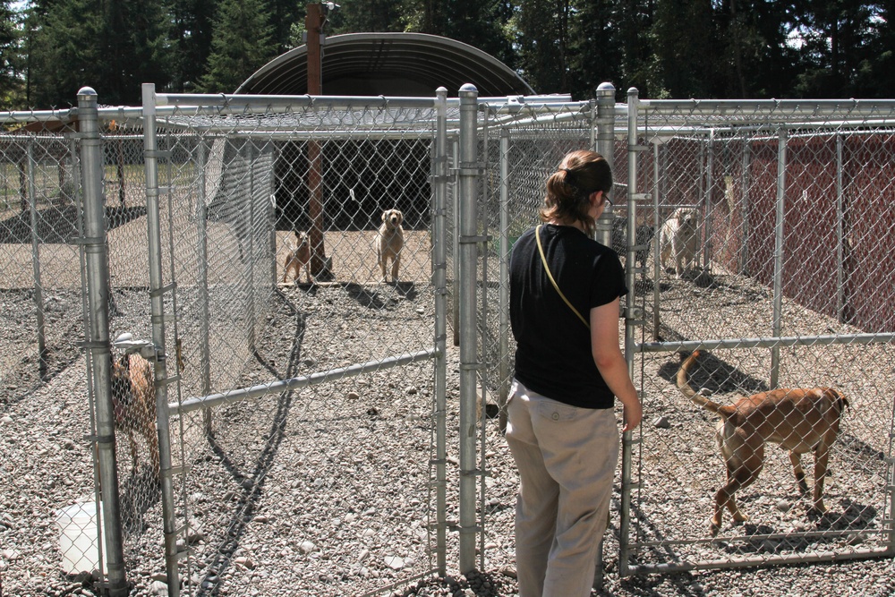 Providing care to your furry family