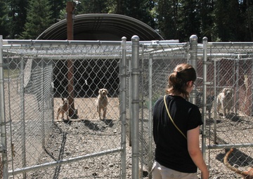 Providing care to your furry family