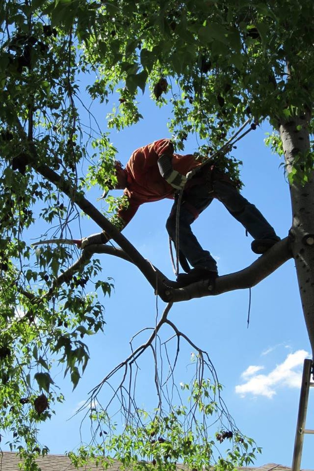 DVIDS - News - 'Tree climber' tapped USARC Best Warrior runner-up