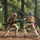 Marine recruits put combat skills to test on Parris Island