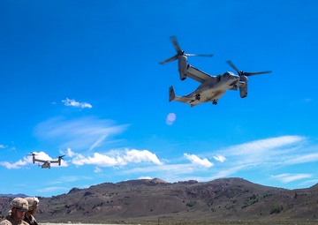 2/7 Marines Execute Evacuation Drills for Large Scale Exercise 2014