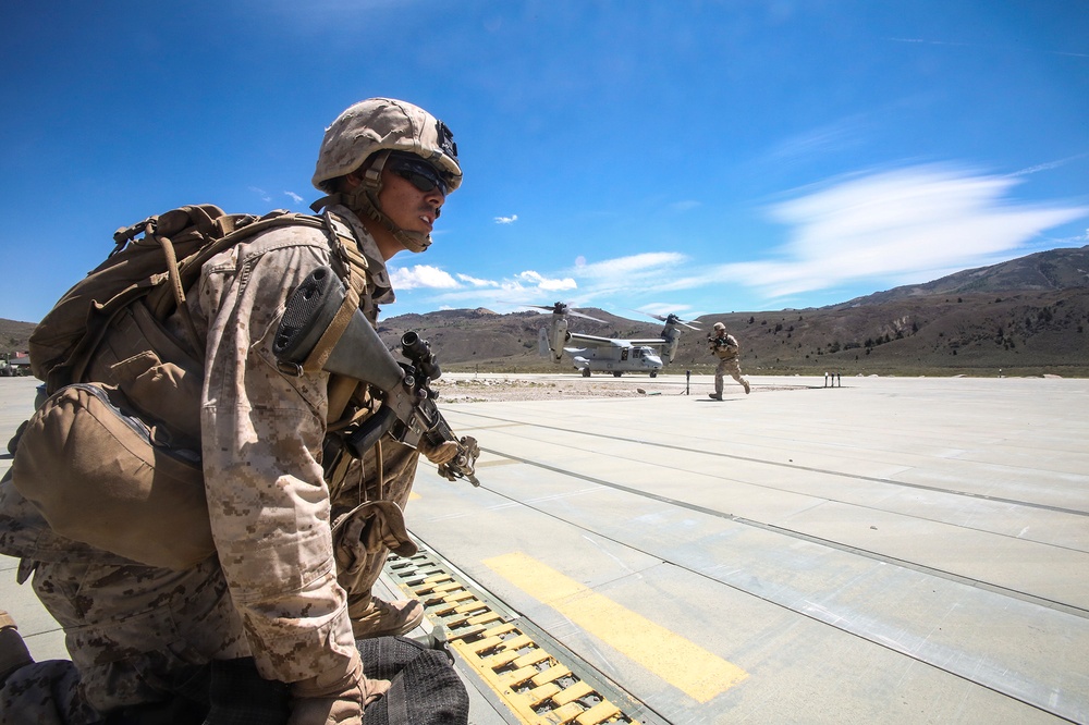 2/7 Marines Execute Evacuation Drills for Large Scale Exercise 2014