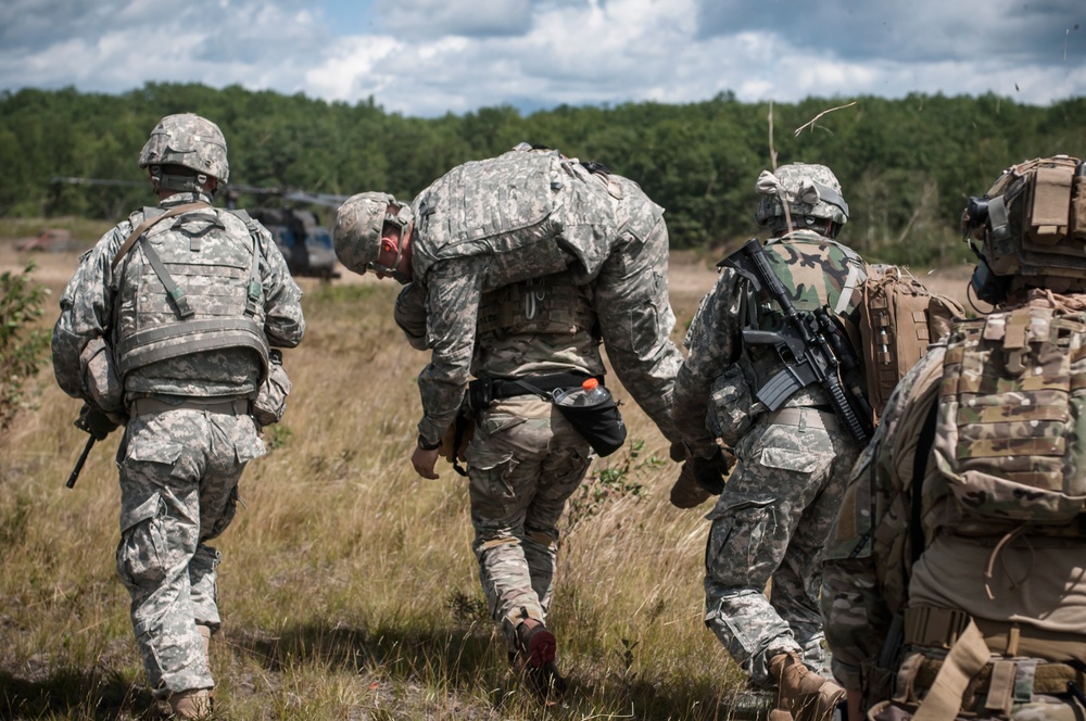 Operation Northern Strike 2014