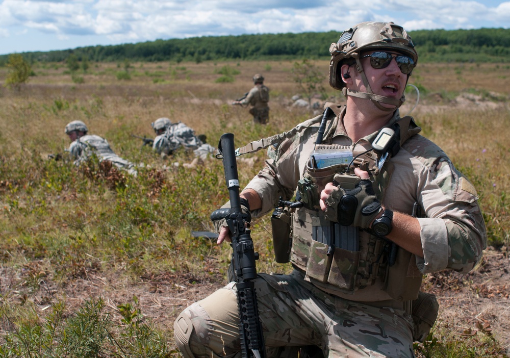 Operation Northern Strike 2014