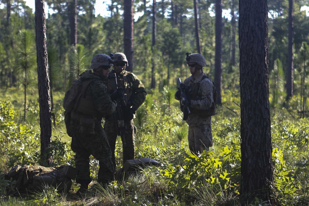 Modern-day Spartans: 2/6 Marines prepare for future conflicts