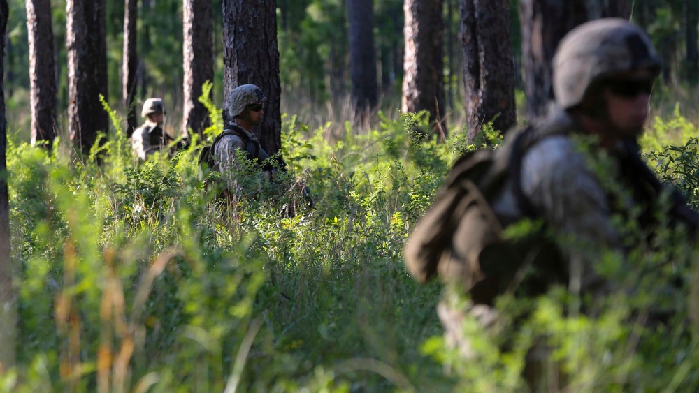 Modern-day Spartans: 2/6 Marines prepare for future conflicts