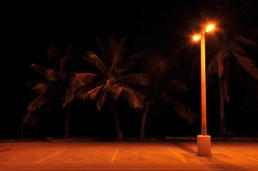 Save the sea turtles! Andersen teams with local university to conserve species