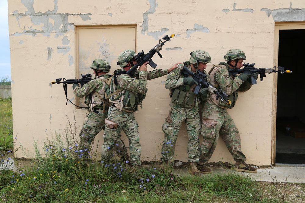 Georgian mission rehearsal exercise