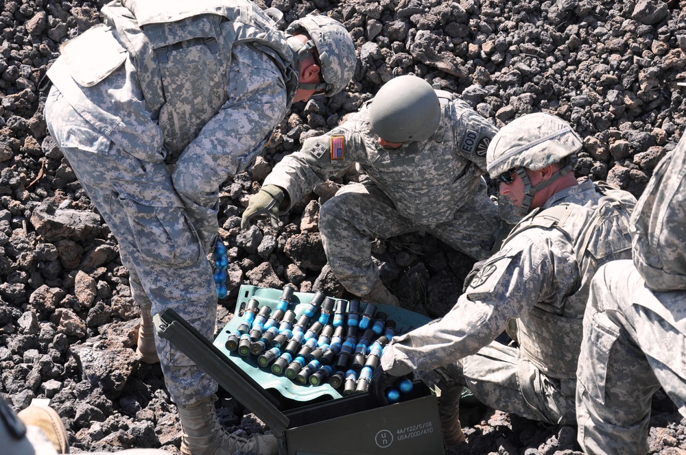 Arizona Guard explosives experts train in Hawaii
