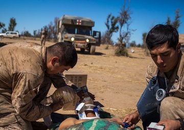 Mass Casualty drill puts docs to the test at Koolendong