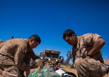 Mass Casualty drill puts docs to the test at Koolendong