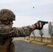 SPMAGTF-South conducts second live-fire shoot aboard USS America