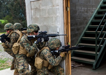 Partner Nations Participate In Integrated Training Exercises
