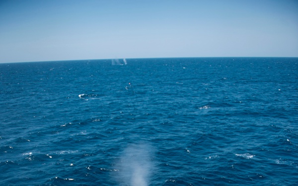 USS Arleigh Burke 25 mm live fire exercise