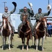 The longhorns are back on Altus AFB