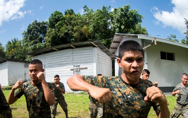 Southern Partnership Station 2014