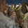Photo Gallery: Future Marines learn to be recruits on Parris Island Photo Gallery: Future Marines learn to be recruits on Parris Island