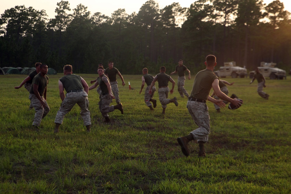 Transportation Marines build cohesion, readiness during FEX