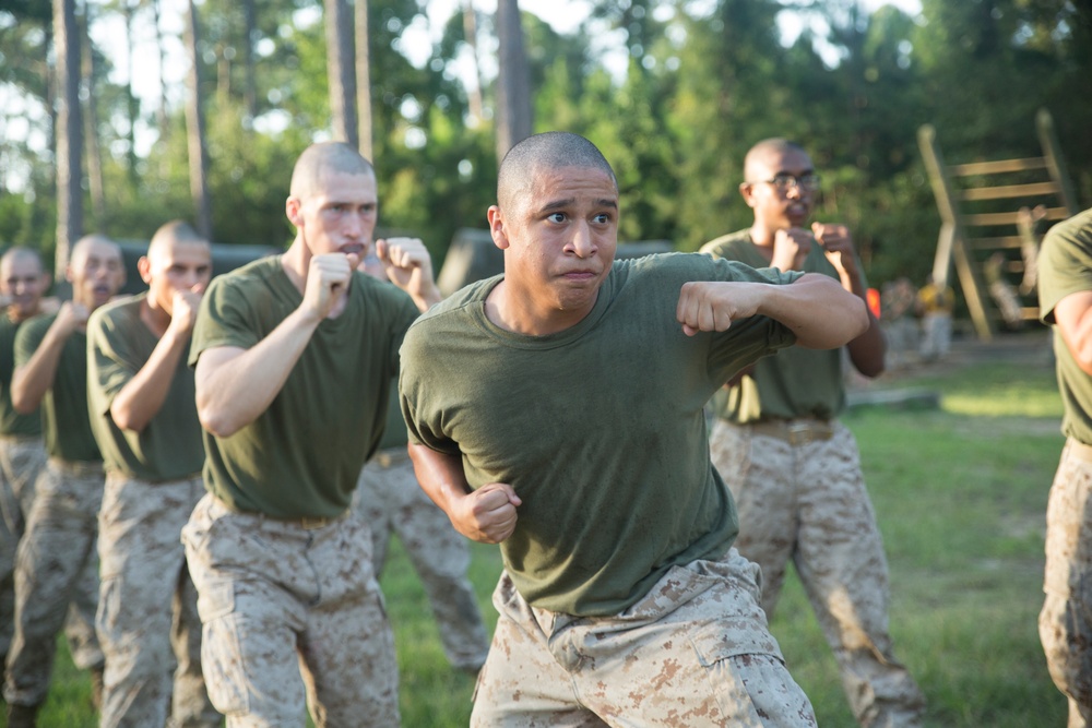 Marine recruits conquer physical, mental challenges on Parris Island