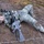 US Army Europe Expert Field Medical Badge (EFMB) competition 2014