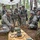 US Army Europe Expert Field Medical Badge (EFMB) competition 2014