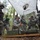 US Army Europe Expert Field Medical Badge (EFMB) competition 2014