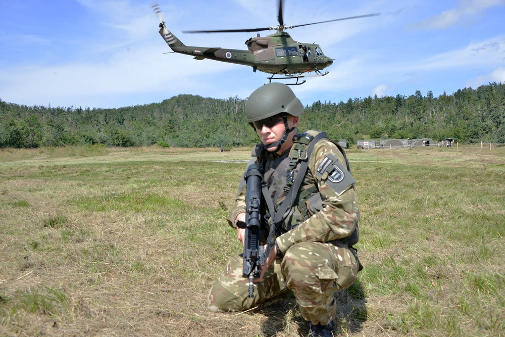 Immediate Response 14 FTX tests US and multinational forces