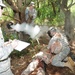 USARPAC NCO of the Year tackles the mystery challenge