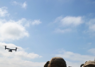 'Cannon Cockers' Practice force projection