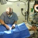 Veterinarian performs surgery during IRT exercise