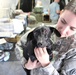 Army Reserve animal care specialist comforts