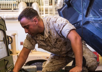 Warrior of the Week # 5 - Cpl. Commisso