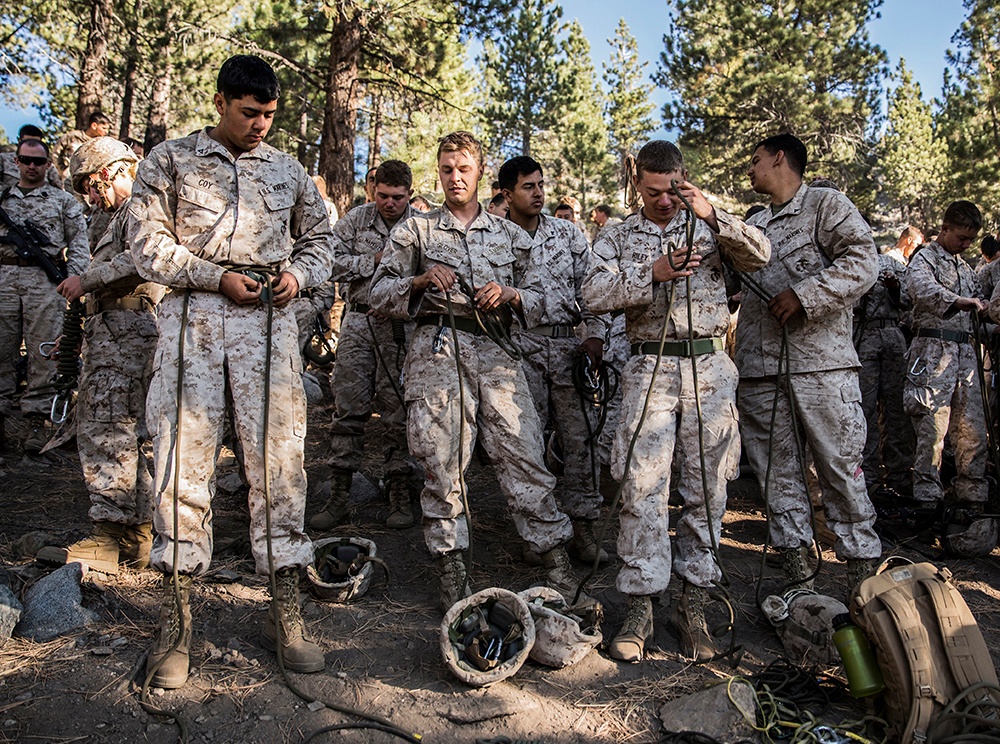 Thundering Third uses rope bridges to overcome mountainous terrain