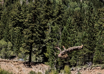 Thundering Third uses rope bridges to overcome mountainous terrain