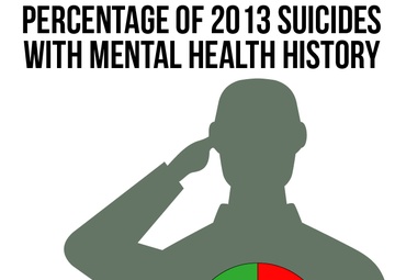 Searching for Answers:  A panel review of Army Reserve suicides