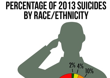 Searching for Answers:  A panel review of Army Reserve suicides