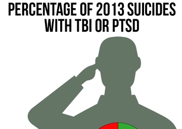 Searching for Answers:  A panel review of Army Reserve suicides