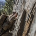 Marines conduct cliff assault training