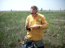 Corps partners with Clemson University to monitor marshes for harbor deepening
